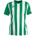 Luanvi - 2023 Soccer shirtGreen/white